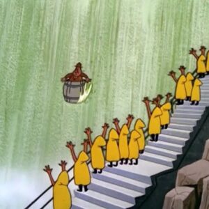 Passeio nas Cataratas do Iguaçu